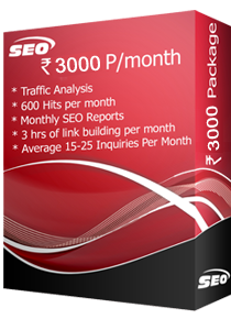 SEO Package - Rs.3000/M