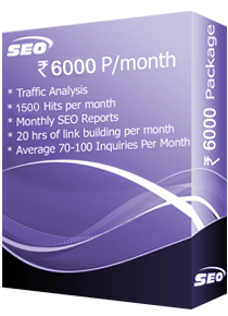 SEO Package - Rs.6000/M